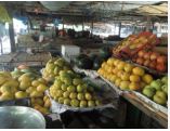 juinagar market