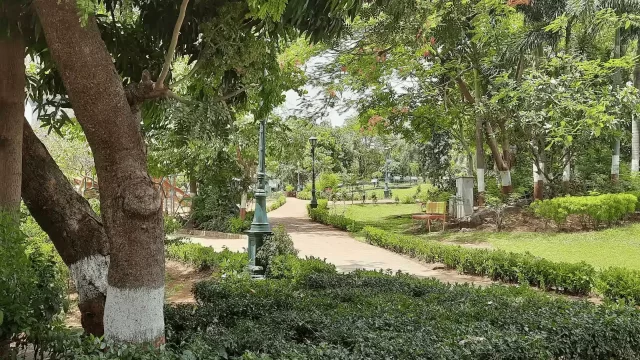 rock garden.webp1